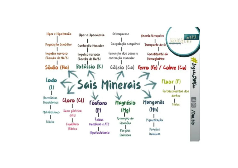 Mapa Mental Sais Minerais Biologia | PDF