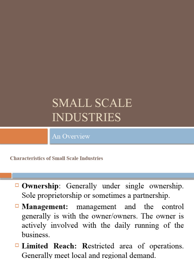 Small Scale Industries | PDF | Engineering | Economies