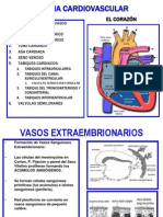 10a Desarrollodelcorazon Mejor 100630221838 Phpapp02