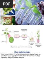 Explant Definition and Types in Tissue Culture | PDF | Cell Potency ...