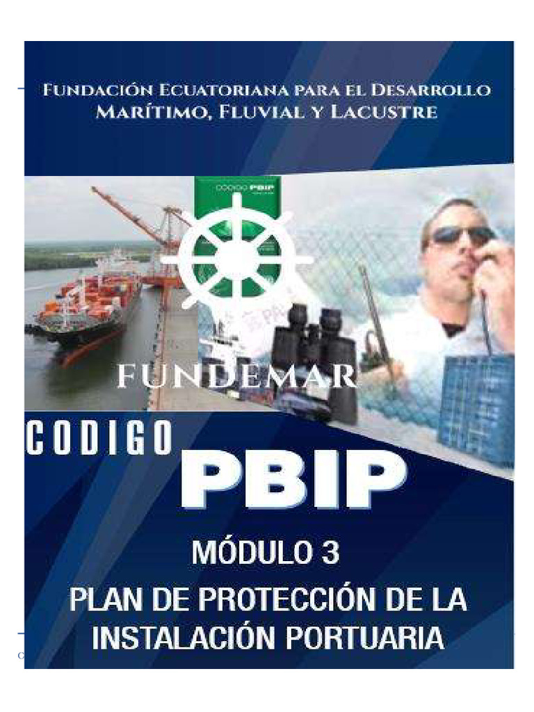 Pbpi Modulo 3 | PDF