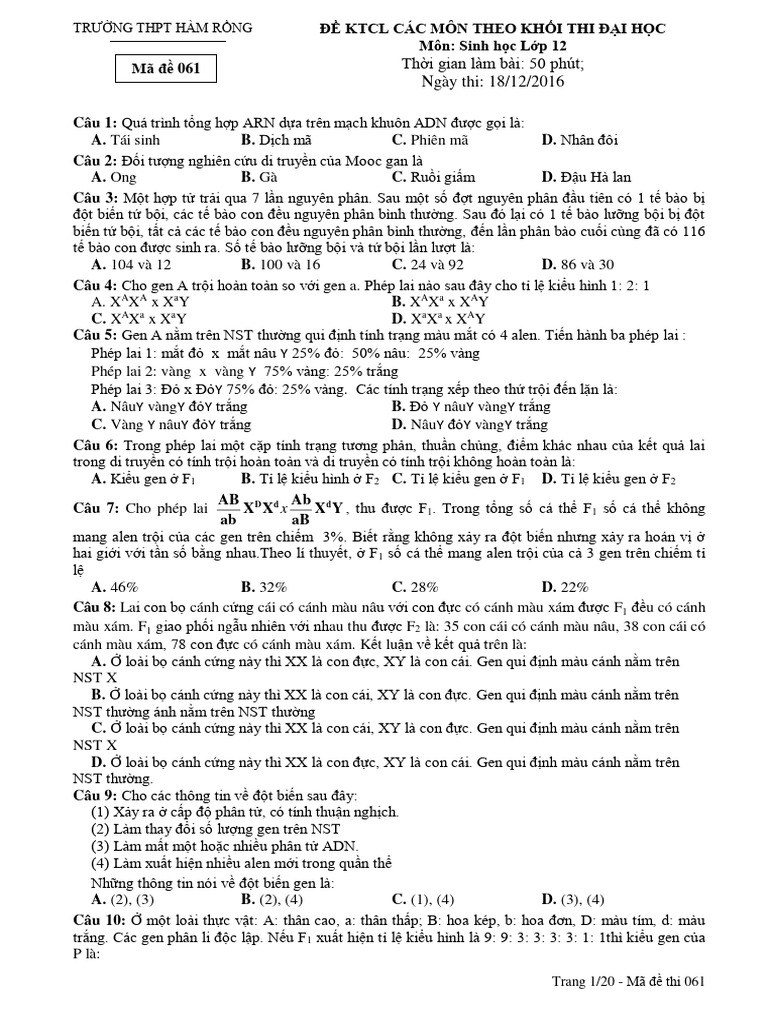 Sinh pdf