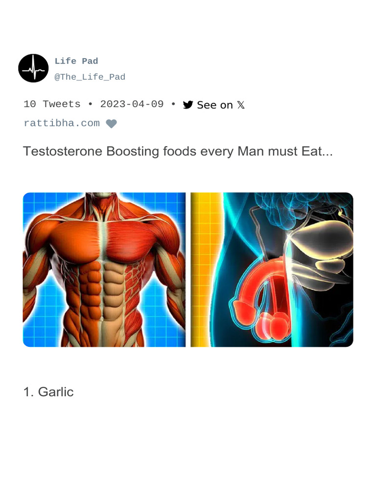 Testosterone Boosting Foods Every Thread by The Life Pad Apr 9, 23 From ...