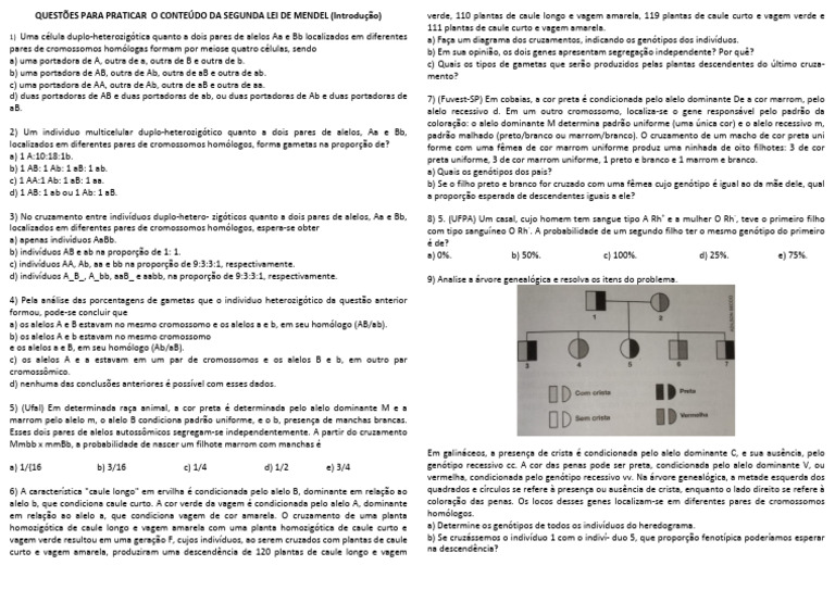 QUESTÕES PARA PRATICAR O CONTEÚDO DA SEGUNDA LEI DE MENDEL (Indrodução ...