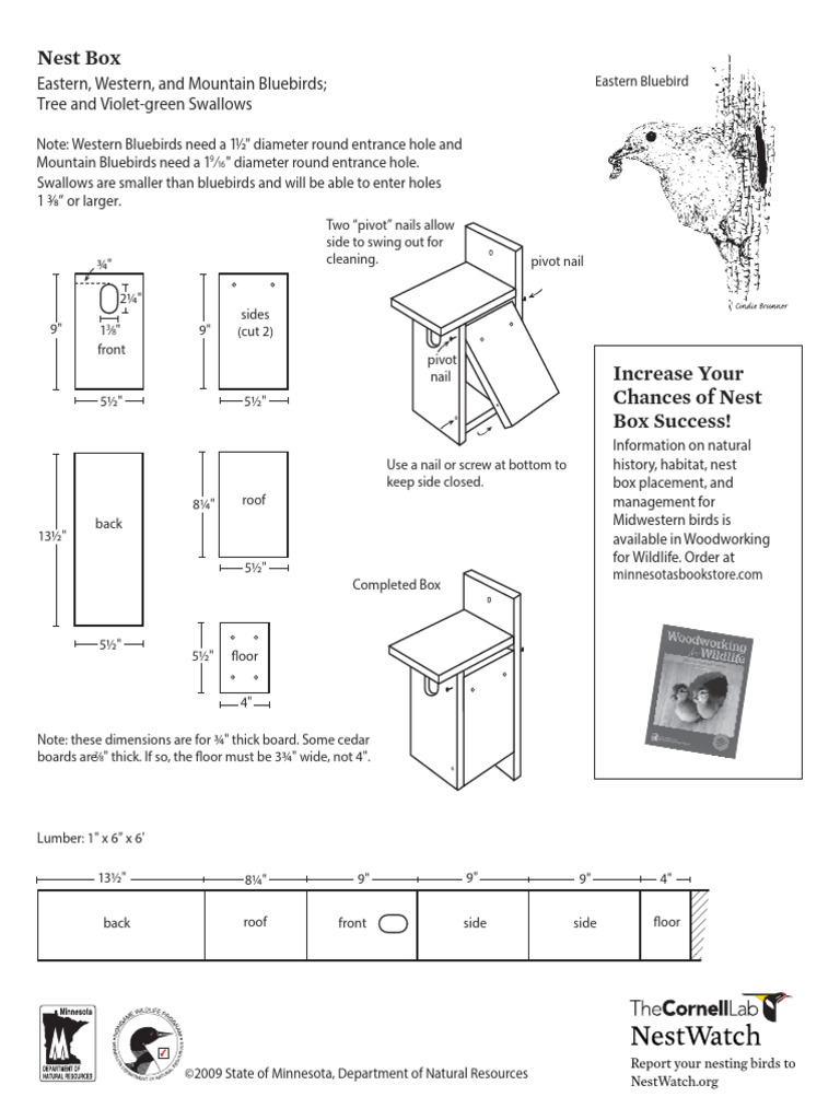 Build a Bluebird Box | Bermuda Bluebird Society, image size:768x1024