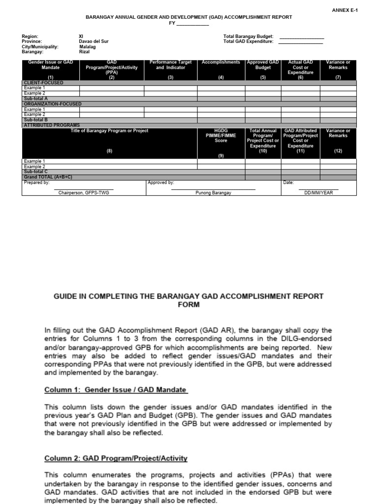 Barangay GAD Accomplishment Report | PDF