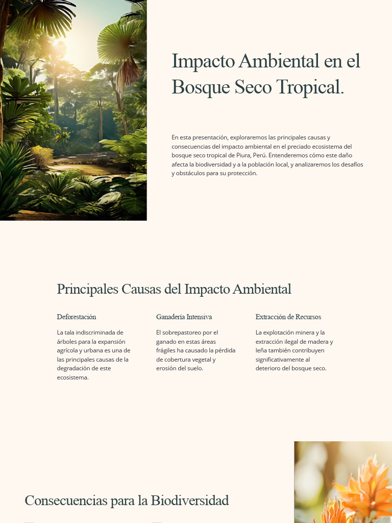 Impacto Ambiental en Bosque Seco de Piura | PDF | Destrucción del ...