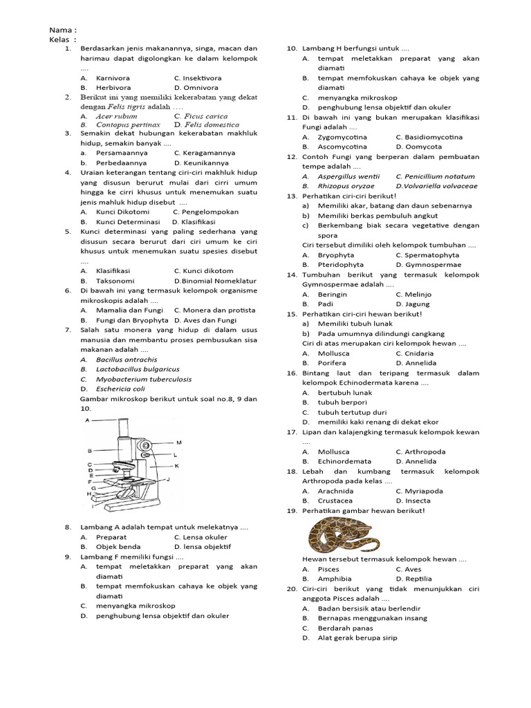 Menjelajahi Keanekaragaman Dunia: Memahami Klasifikasi Makhluk Hidup Melalui Soal Esai untuk Siswa SD Kelas 3