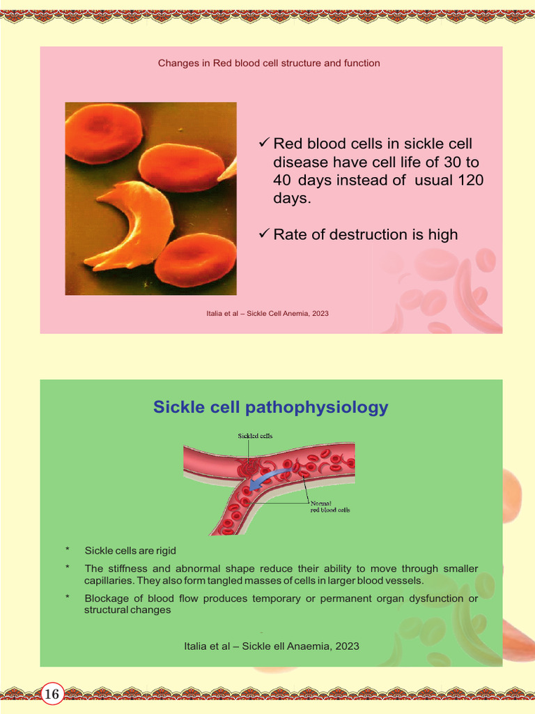 Sickle Cell Disease: Red Blood Cell Dynamics | PDF