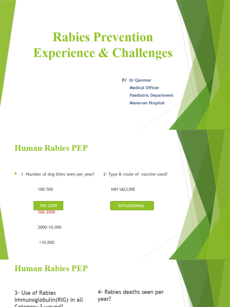 Rabies Prevention As Per Tempalate | PDF | Rabies | Management Of Hiv/Aids