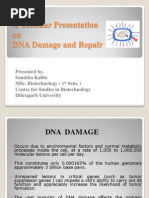 MY 1st Sem. Presttn DNA Damage & Repair PPT MW 2003