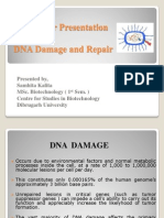 MY 1st Sem. Presttn DNA Damage & Repair PPT MW 2003