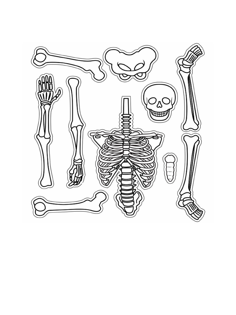 Printable Skeleton Cut Out - 280773.jpg | PDF