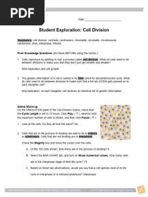 CellDivision Gizmos