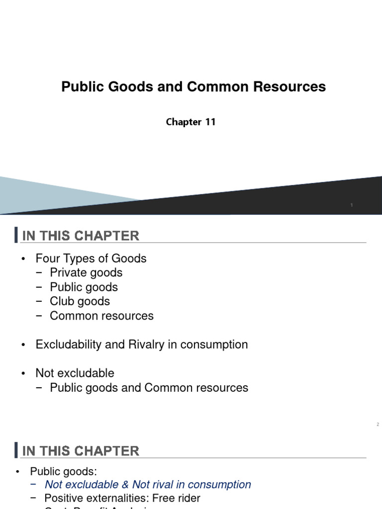 Understanding Public Goods & Common Resources | PDF | Goods | Externality