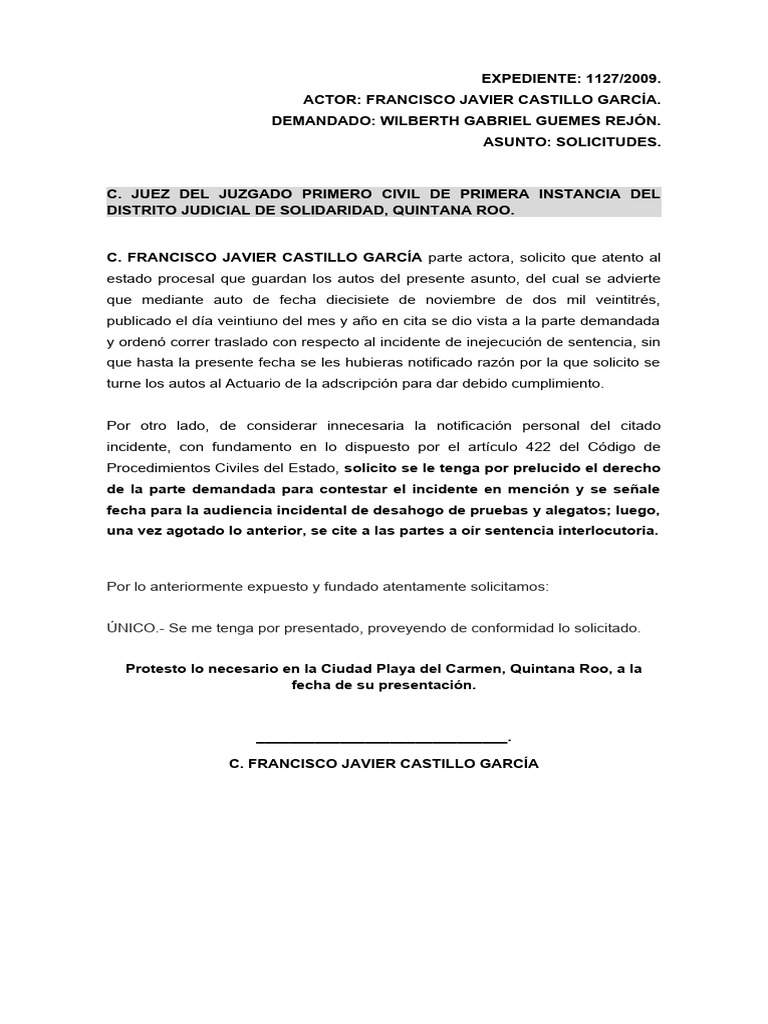 Solicitud Audiencia Incidental Pdf