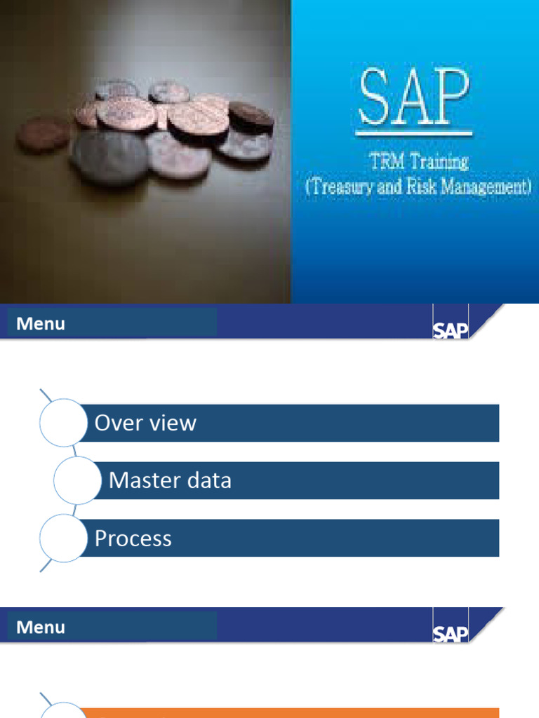 SAP Treasury Management Overview | PDF | Foreign Exchange Market | Swap ...