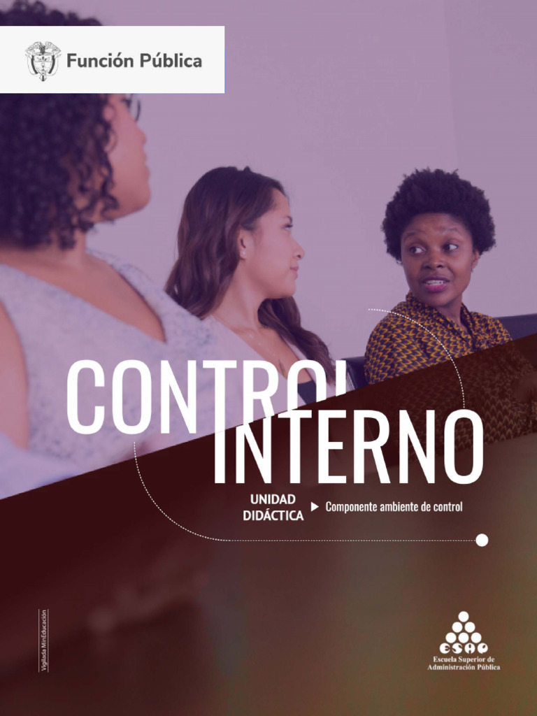 Unidad 2 - Sistema de Control Interno | PDF
