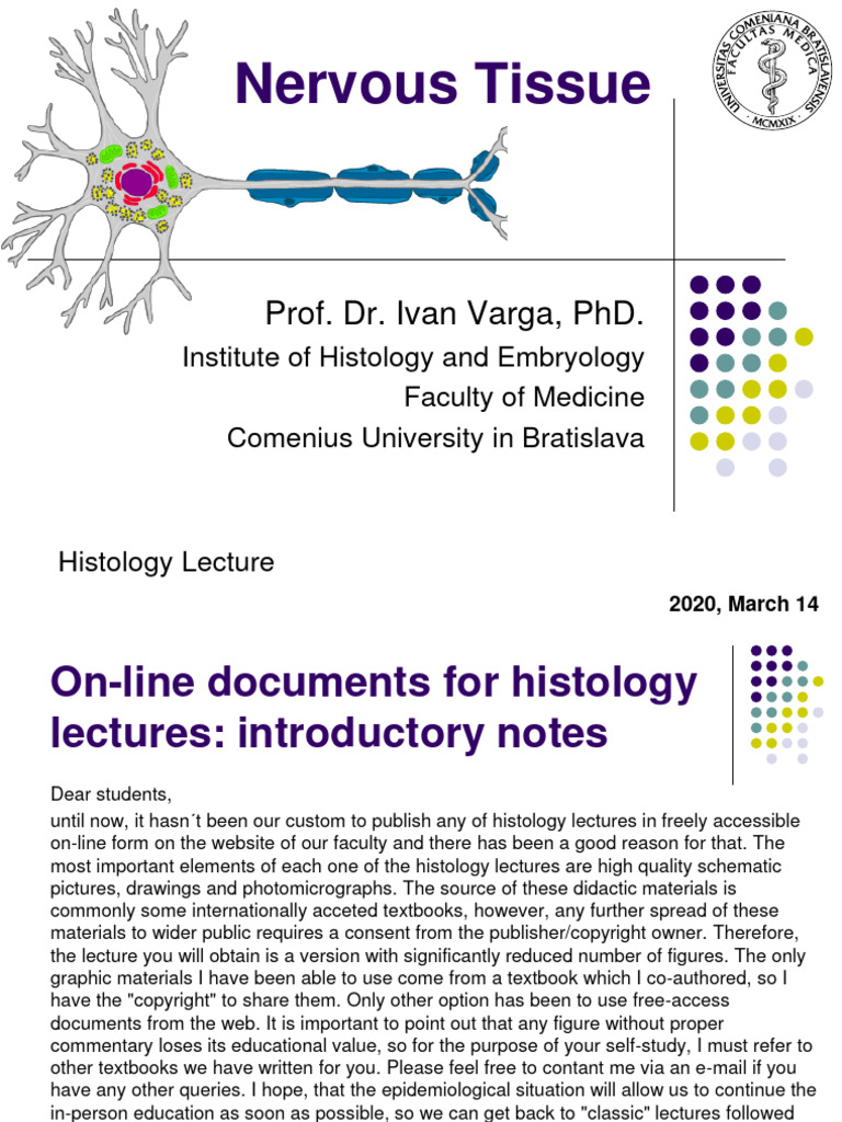 Histology of Nervous Tissue 2020 | PDF | Neuron | Chemical Synapse