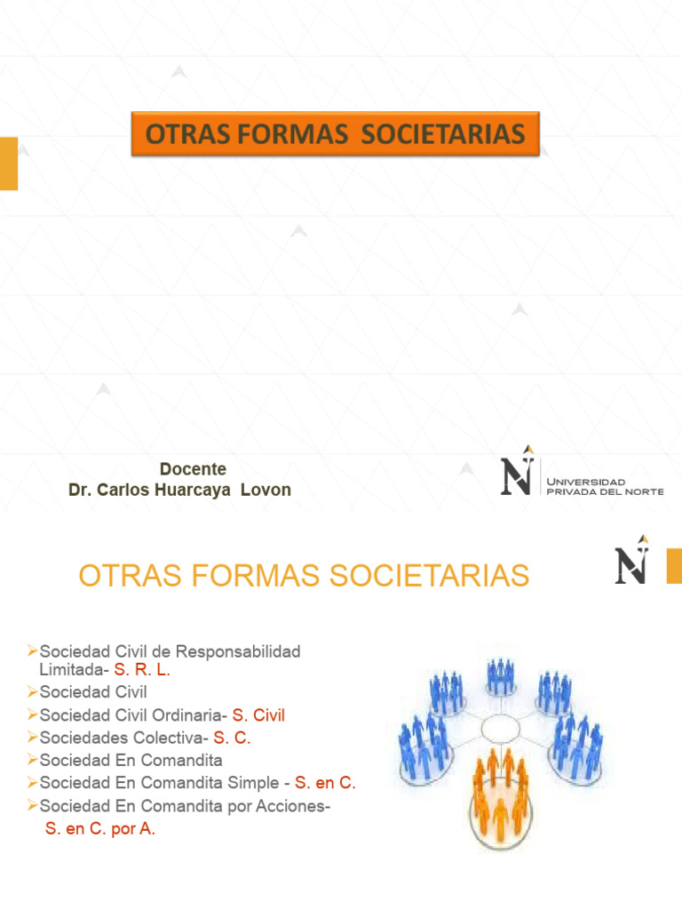 Tipos de Sociedades y Sus Normas | PDF | Sociedad General | Business
