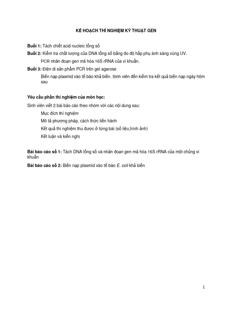TN KTG | PDF