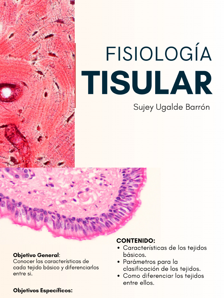3 Fisiología Tisular | PDF