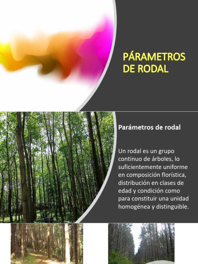 Parámetros de Rodal y Tabla de Rodal | PDF