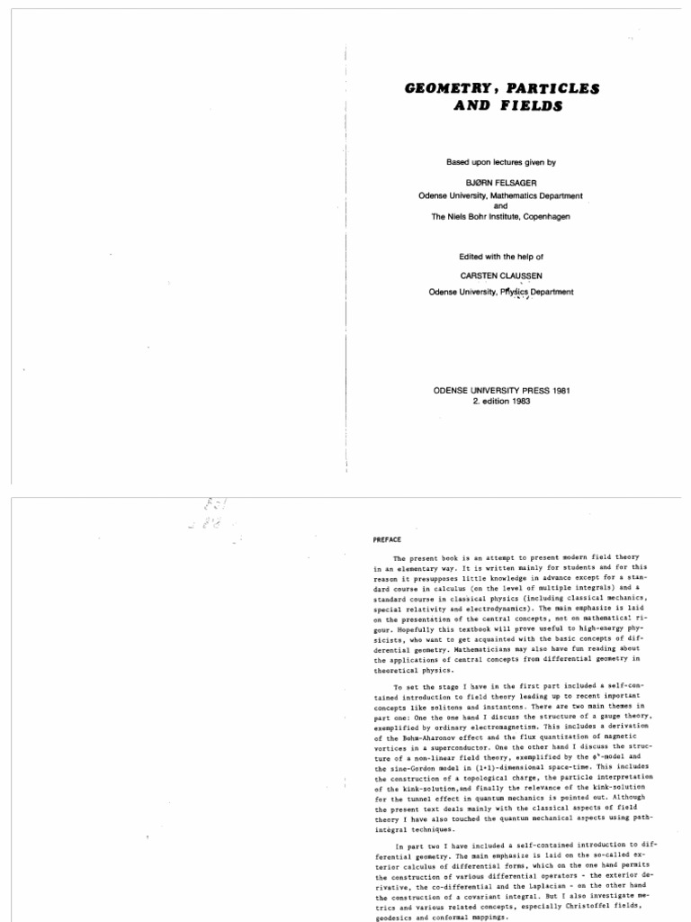 Geometry Particles and Fields | PDF