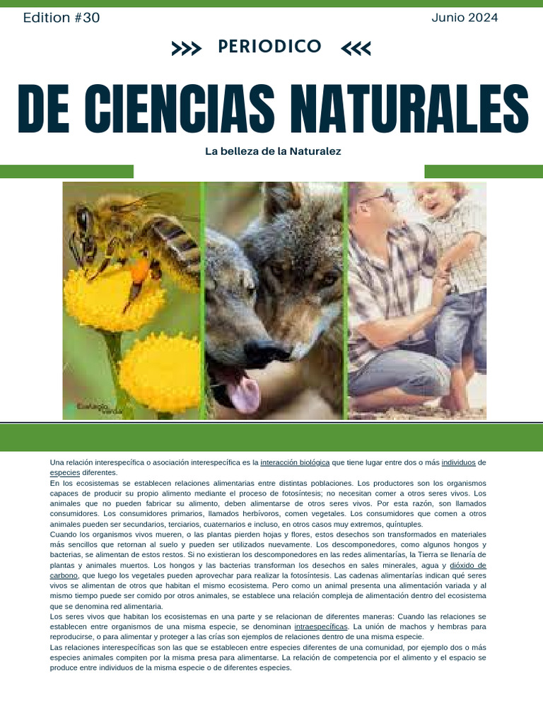 White and Green Professional Nature Sustainability Newsletter | PDF ...