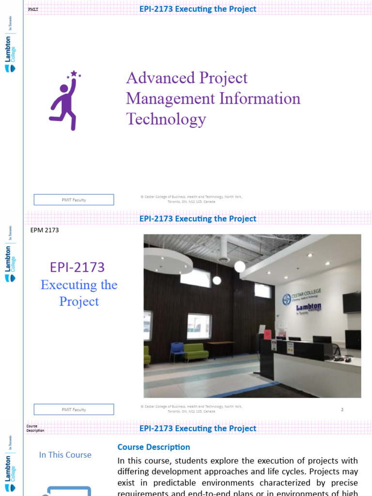 Project Execution Strategies and Management | PDF | Project Management ...