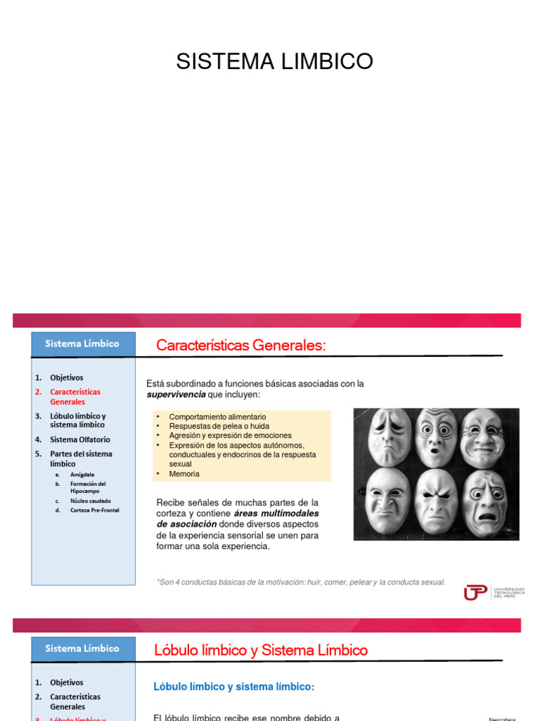 Funciones del Sistema Límbico | PDF | Sistema límbico | Las emociones