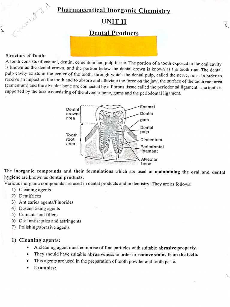 Dental Products PDF