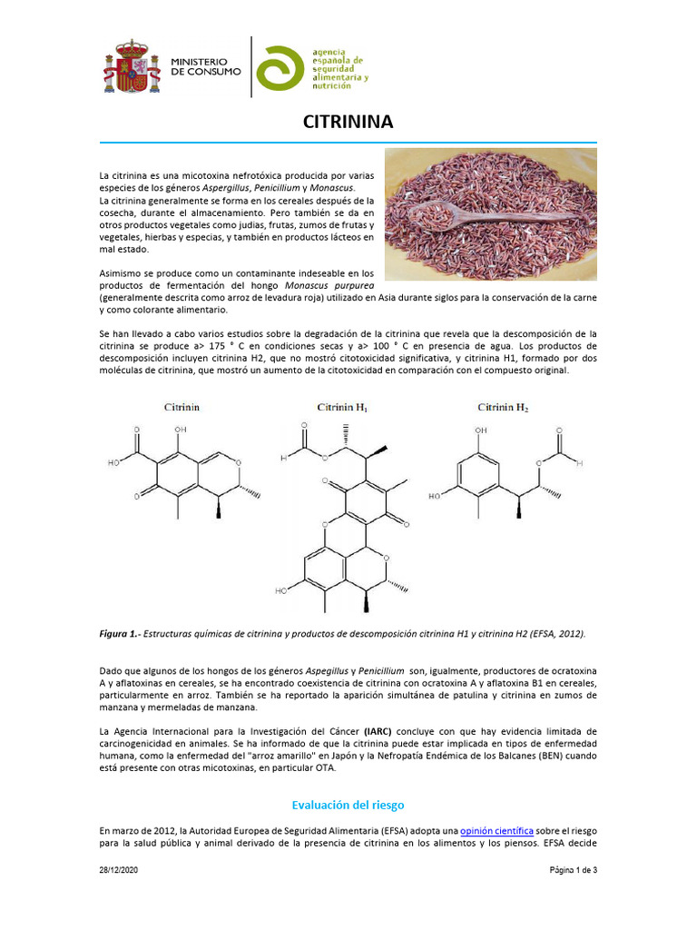 Riesgos y Regulaciones de Citrinina | PDF