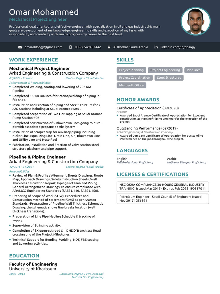 Mechanical Project Engineer Profile | PDF | Engineering | Pipe (Fluid ...