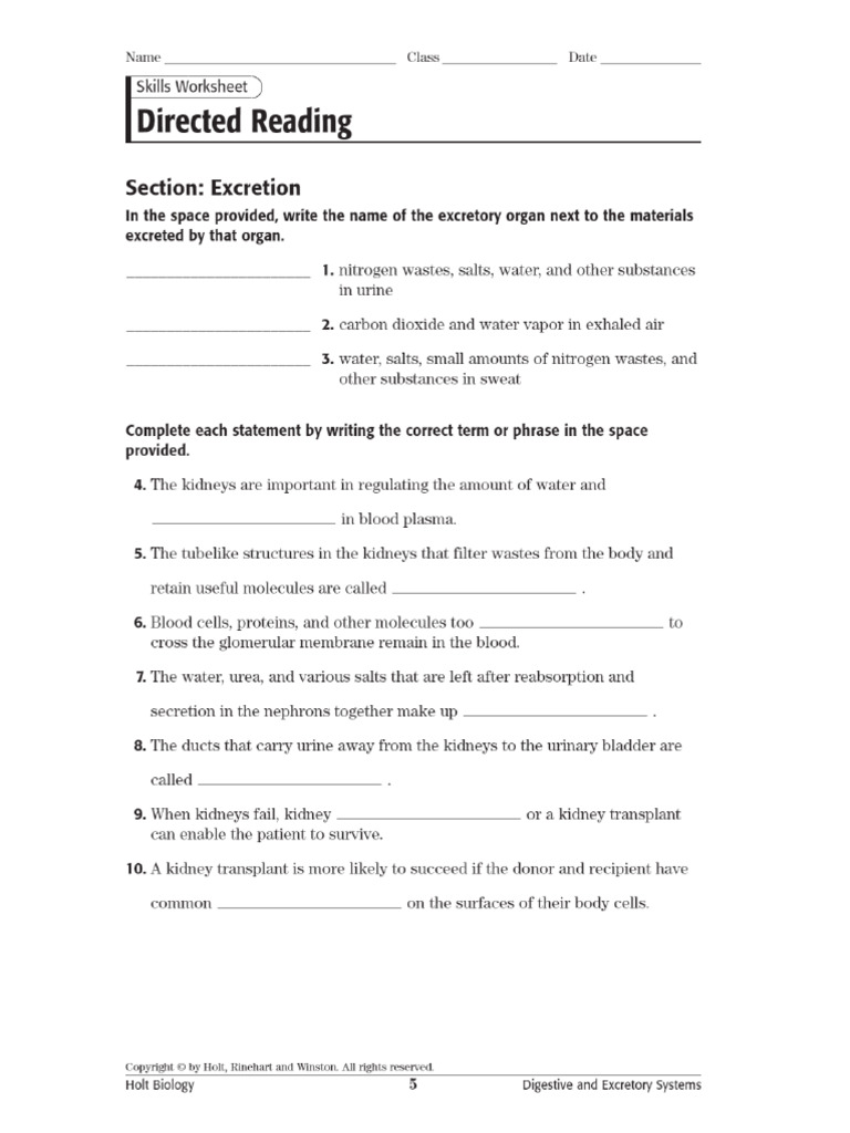 Excretory system worksheet PDF