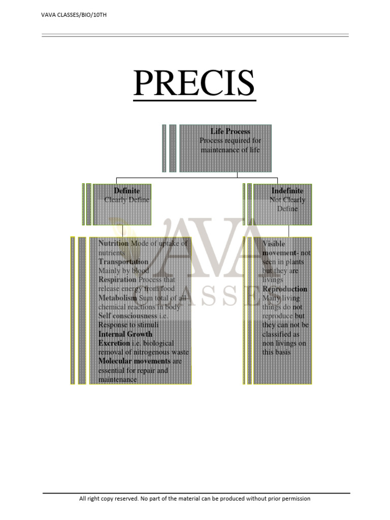 Life Process Detailed Notes | PDF | Atrium (Heart) | Heart