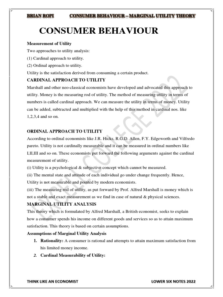 Null 3 | PDF | Utility | Marginal Utility