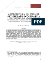 Algumas histórias dos grupos de skinheads no Brasil