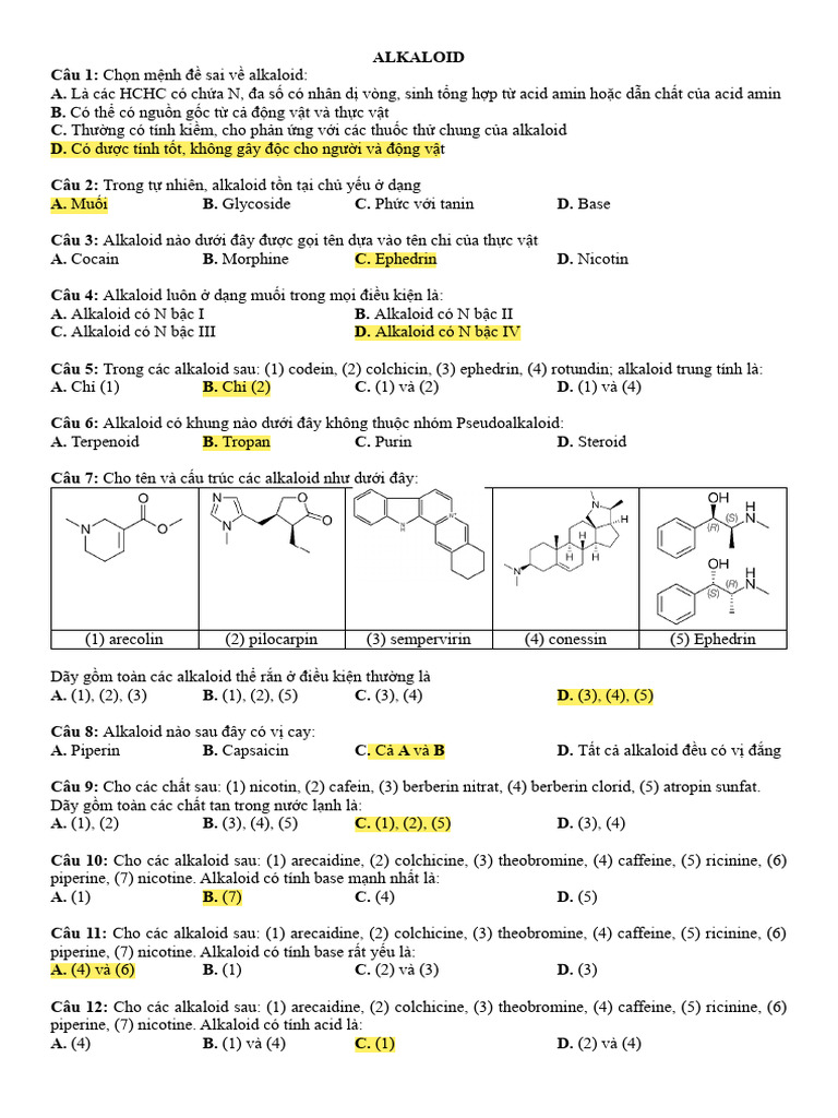 DL 2 | PDF