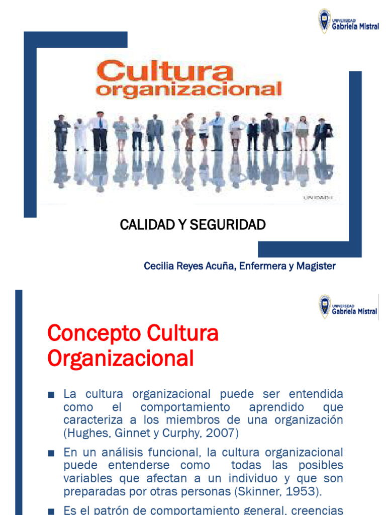 Análisis de la Cultura Organizacional | PDF | Cultura organizacional ...