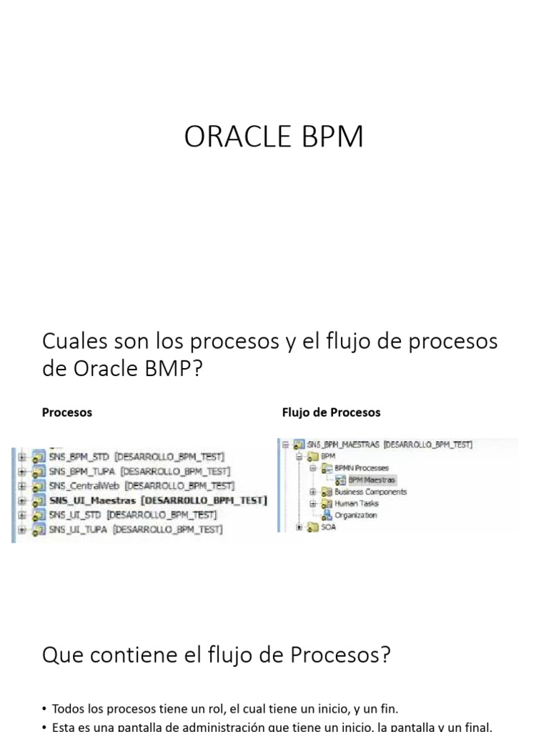 Oracle BPM | PDF | Informática | Programación de computadoras