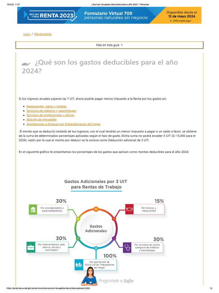 gastos-deducibles-sunat-2024-pdf-documento-de-identidad