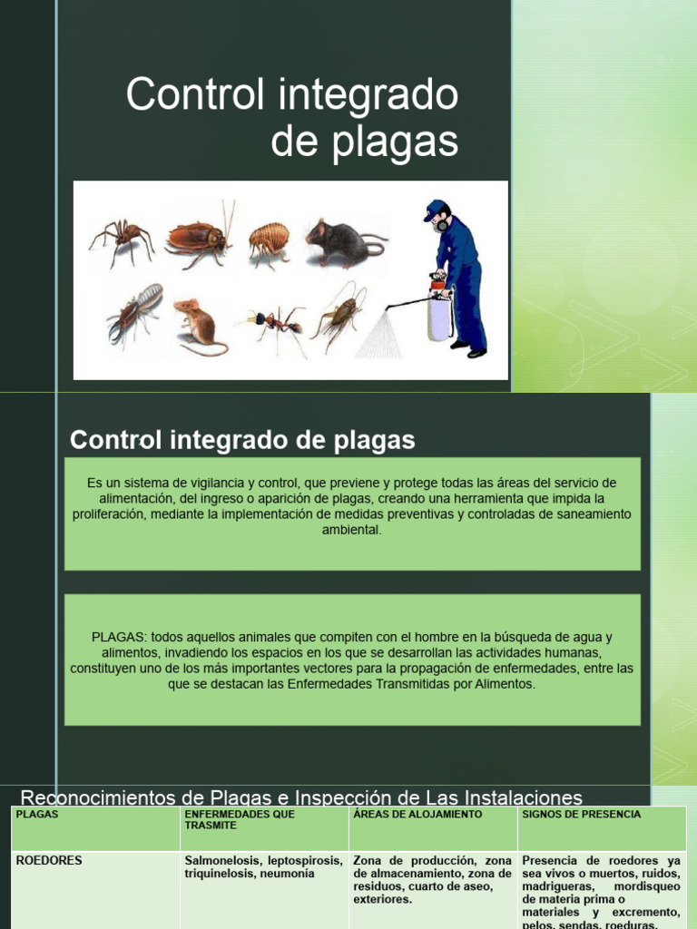 Control Integral de Plagas en Alimentos | PDF | Pesticida | Insectos