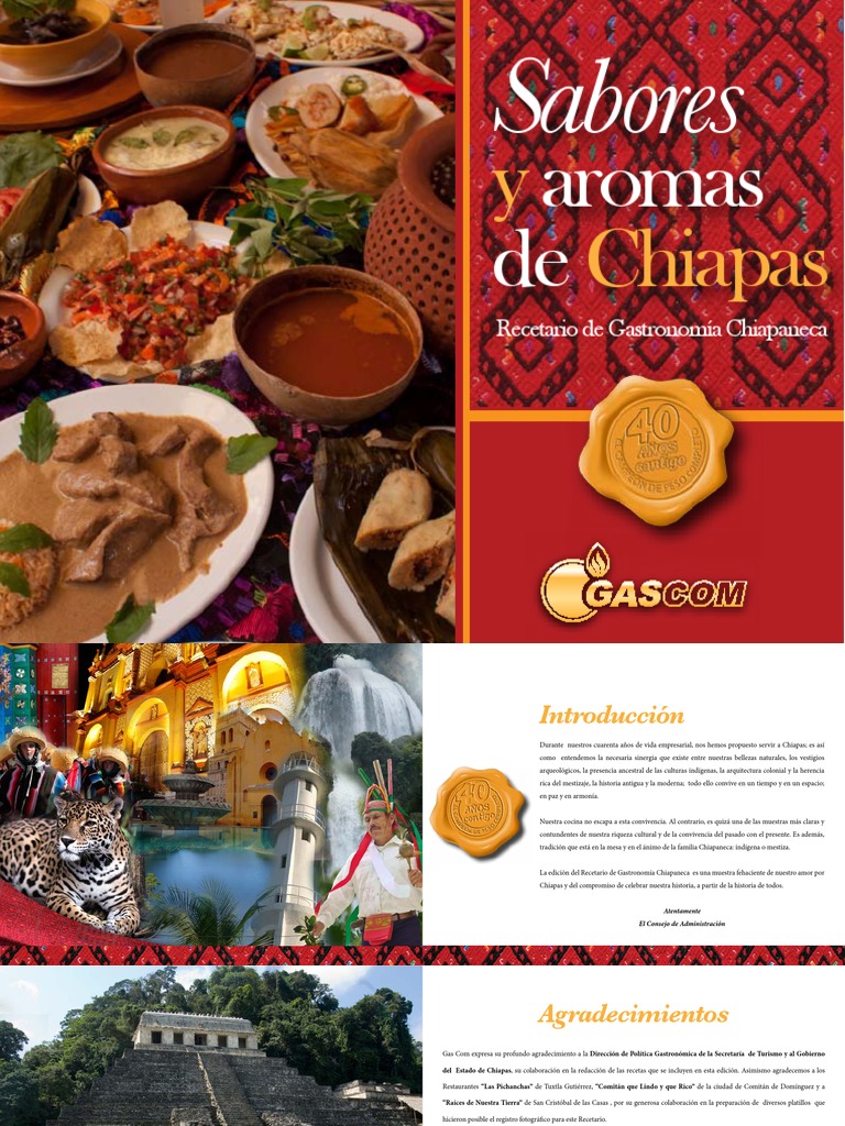 Recetario de Cocina Tradicional Chiapaneca, Chiapas Traditional Food