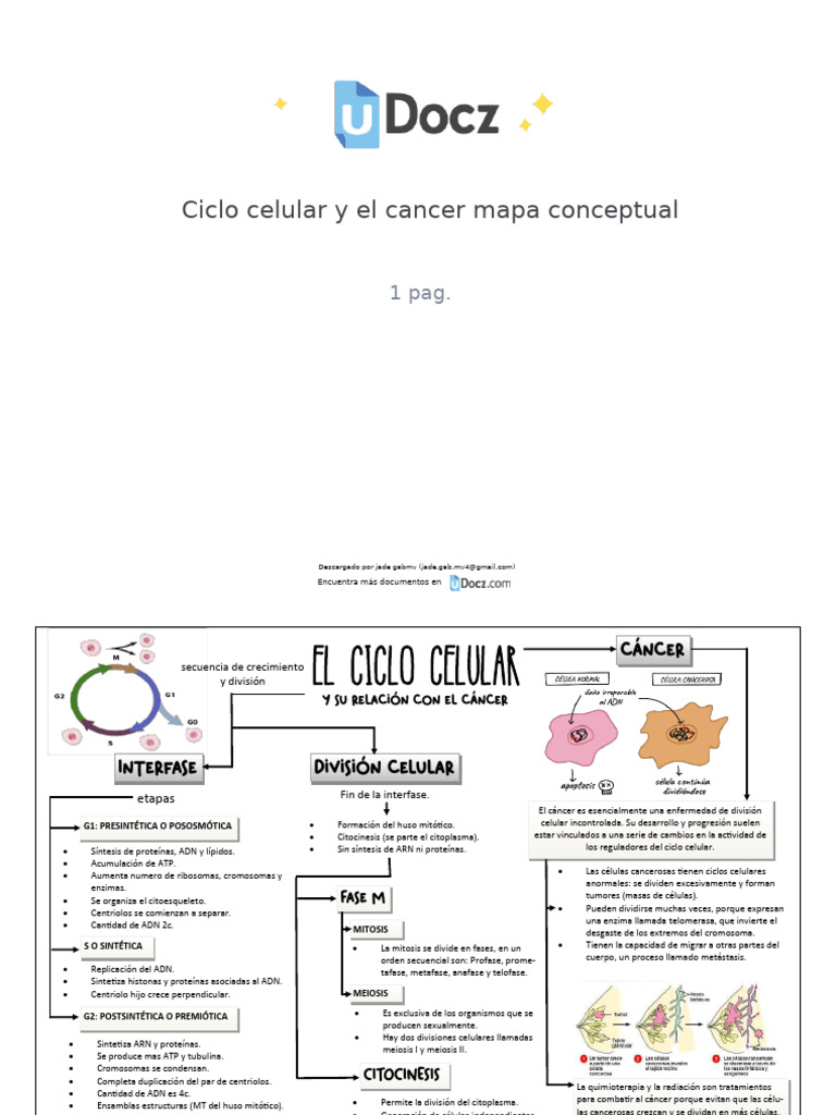 Ciclo Celular y Cáncer: Mapa Conceptual | PDF | Mitosis | Ciclo celular