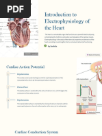 rapid-ecg-interpretation-frachi-basic-pdf-electrocardiography