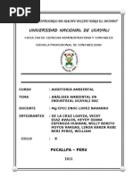 Auditoria Ambiental IUSAC 2011