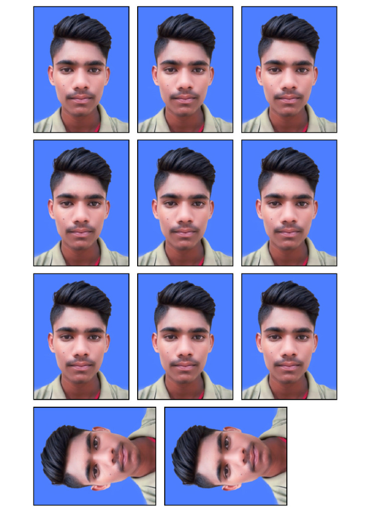Pdf pdf