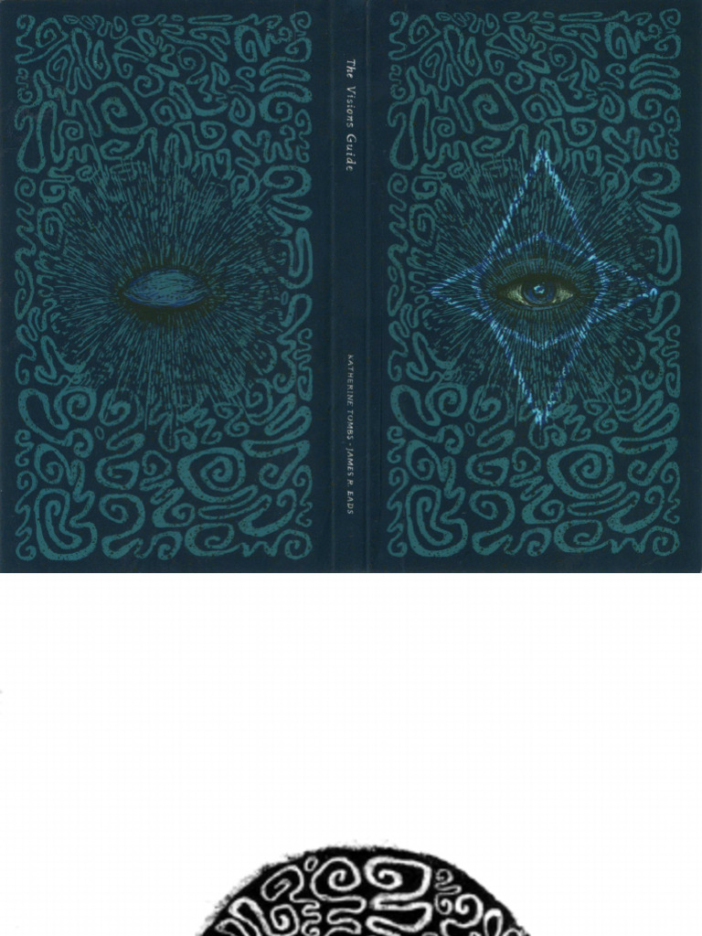 The Prisma Visions Guide | PDF