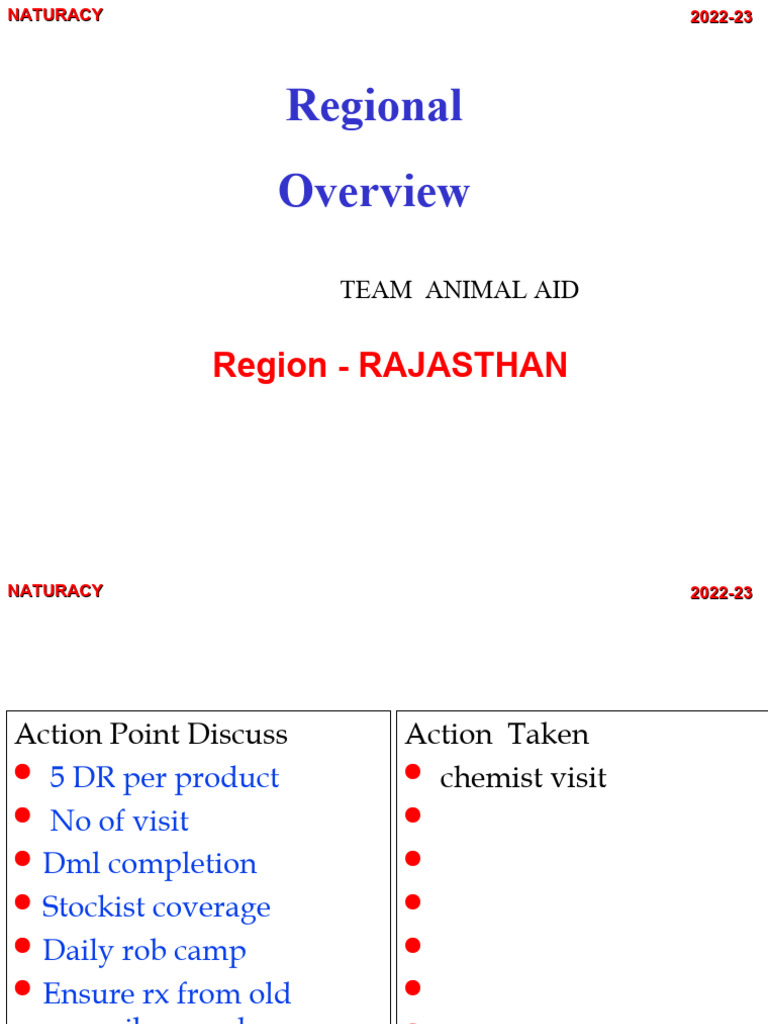 REVIEW SHEET EXCEL visual data 2